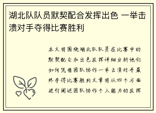 湖北队队员默契配合发挥出色 一举击溃对手夺得比赛胜利