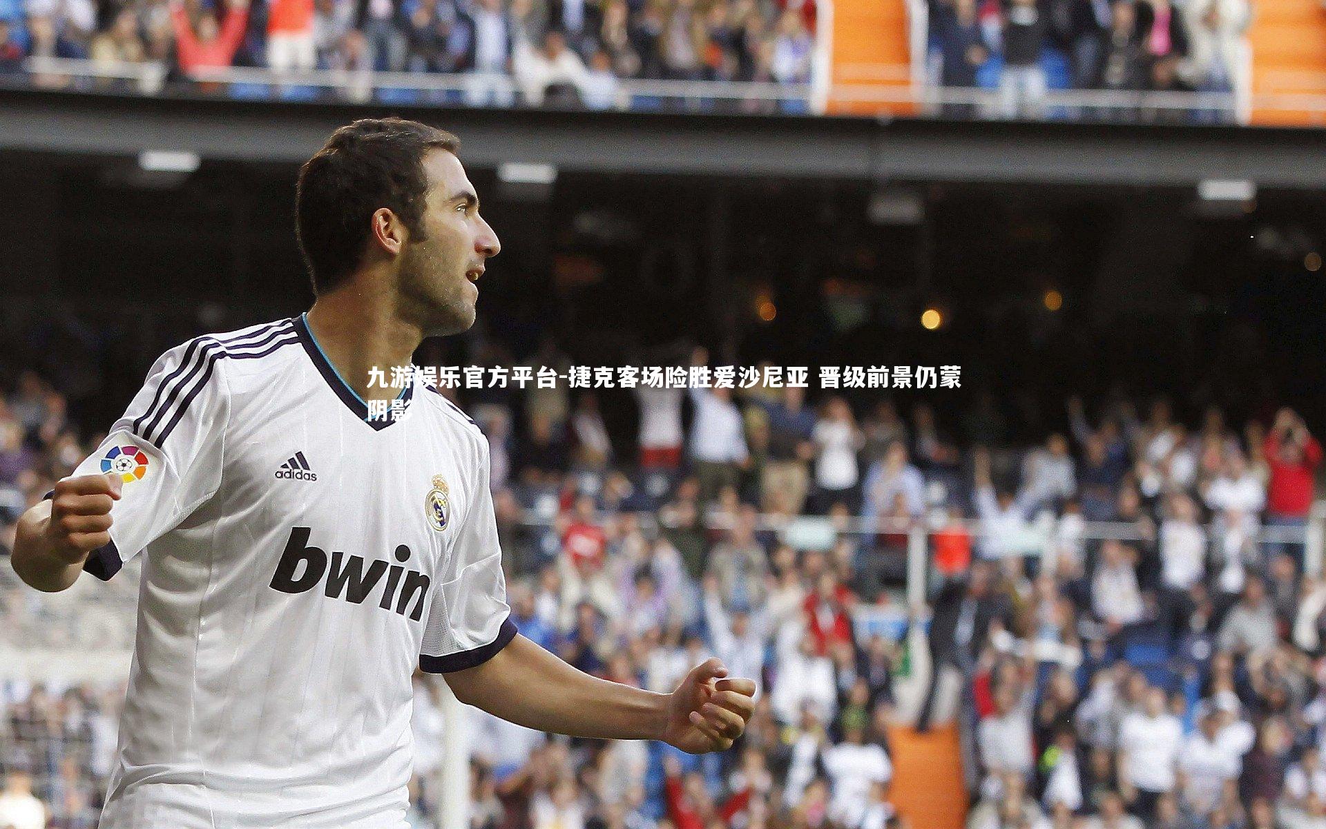 捷克客场险胜爱沙尼亚 晋级前景仍蒙阴影